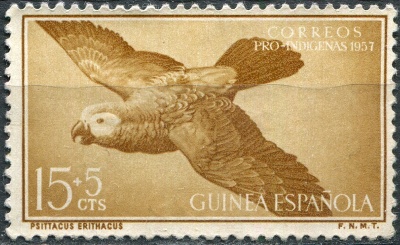 Испанская Гвинея. 1957. Серый попугай (Psittacus erithacus) (Почтовая марка. MNG)
