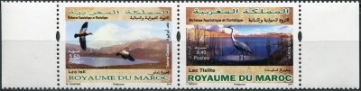 Марокко. 2014. Эндемичные птицы (Сцепка. MNH OG)