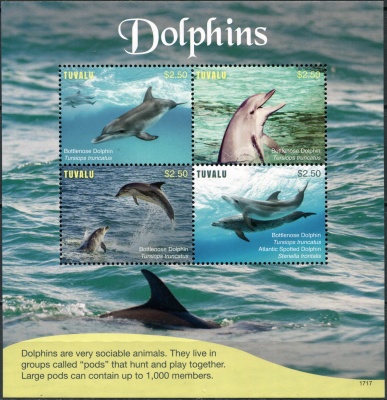 Тувалу. 2017. Дельфины и их подвиды (Малый лист. MNH OG)