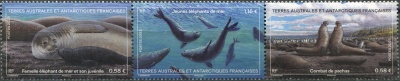 ФЮАТ. 2023. Южный морской слон (Mirounga leonina) (Сцепка. MNH OG)