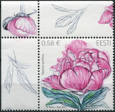 Эстония. 2011. Пион (Paeonia lactiflora) (II) (Почтовая марка. MNH OG)