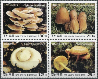 КНДР. 2003. Грибы (Квартблок. MNH OG)