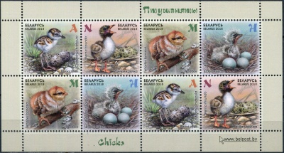 Беларусь. 2018. Детская филателия. Птенцы (Малый лист. MNH OG)