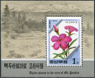 КНДР. 1994. Гвоздика ползучая (Dianthus repens) (Почтовый блок. MNH OG)