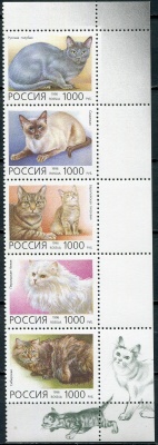 Россия. 1996. Породы кошек (Сцепка. MNH OG)