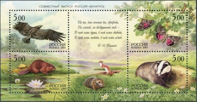 Россия. 2005. Фауна (Блок. MNH OG)