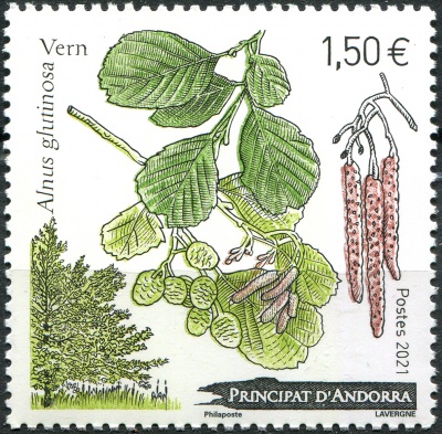 Андорра Французская. 2021. Ольха чёрная (Alnus glutinosa) (Почтовая марка. MNH OG)