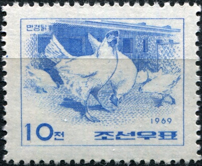 КНДР. 1969. Банкивская джунглевая курица (Gallus gallus domesticus) (Почтовая марка. MNH)