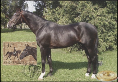 Словакия. 2005. Словацкая чистокровная лошадь (Картмаксимум. M)