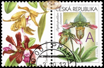 Чехия. 2012. Орхидея [Paphiopedilum venustum] (Почтовая марка. CTO Гашеная)