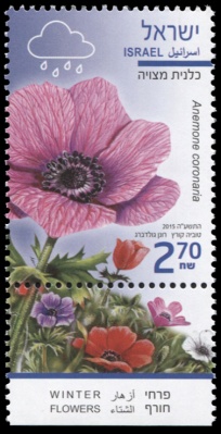 Израиль. 2015. Ветреница Корончатая (Почтовая марка. MNH OG)