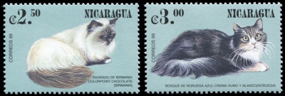 Никарагуа. 1999. Кошки (Серия. MNH OG)