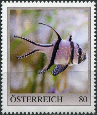 Австрия. 2020. Бангайский кардинал (Pterapogon kauderni) (Почтовая марка. MNH OG)