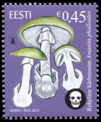 Эстония. 2013. Бледная поганка (смертельно ядовит) (Почтовая марка. MNH OG)
