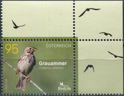 Австрия. 2024. Просянка (Emberiza calandra) (II) (Почтовая марка. MNH OG)