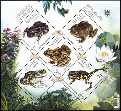 Украина. 2012. Земноводные Украины (Блок. MNH OG)