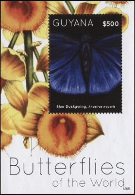 Гайана. 2012. Blue Duskywing. Anastrus Neaeris (Блок. MNH OG)