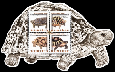 Намибия. 2016. Черепахи Намибии (Блок. MNH OG)