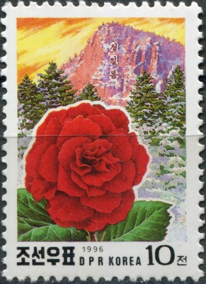 КНДР. 1996. 54-я годовщина со дня рождения Ким Чен Ира (Почтовая марка. MNH OG)