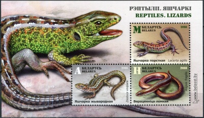 Беларусь. 2018. Рептилии. Ящерицы (Почтовый блок. MNH OG)