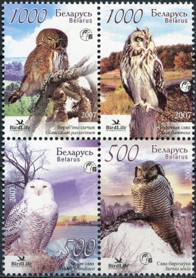 Беларусь. 2007. Совы Беларуси (Квартблок. MNH OG)