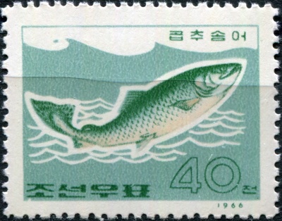 КНДР. 1966. Горбуша (Oncorhynchus gorbuscha) (Почтовая марка. MNH)