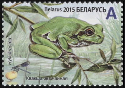 Беларусь. 2015. Квакша обыкновенная (Почтовая марка. MNH OG)