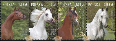 Польша. 2007. Польские арабские скакуны (Сцепка. MNH OG)
