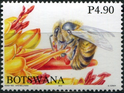 Ботсвана. 2010. Медоносные пчелы Ботсваны (III) (Почтовая марка. MNH OG)
