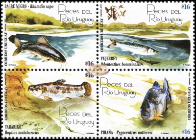 Уругвай. 2005. Рыбы рек Уругвая (Серия. MNH OG)