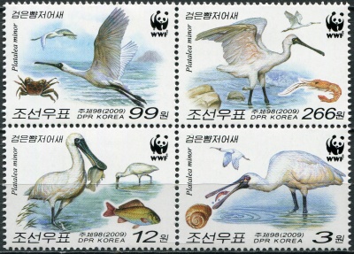 КНДР. 2009. Малая колпица (Platalea minor) (Квартблок. MNH OG)