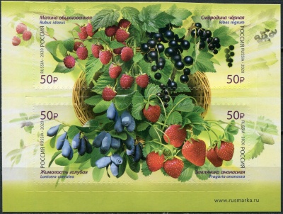Россия. 2020. Ягоды (Квартблок. MNH OG)