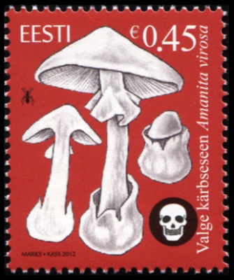 Эстония. 2012. Мухомор вонючий (Amanita virosa) (Почтовая марка. MNH OG)