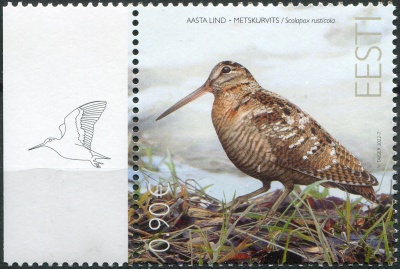 Эстония. 2022. Вальдшнеп (Scolopax rusticola) (II) (Почтовая марка. MNH OG)
