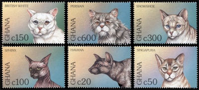 Гана. 1997. Кошки (Серия. MNH OG)