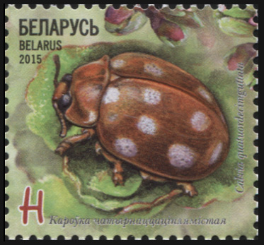 Беларусь. 2015. Коровка четырнадцатипятнистая (Почтовая марка. MNH OG)