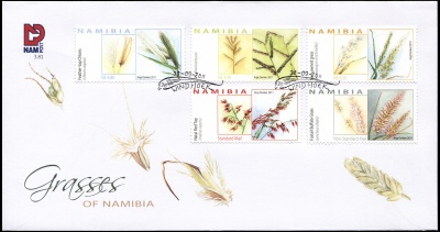 Намибия. 2011. Травы Намибии (Конверт Первого Дня. Mint)
