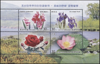 КНДР. 2007. Флора (Блок. MNH OG)