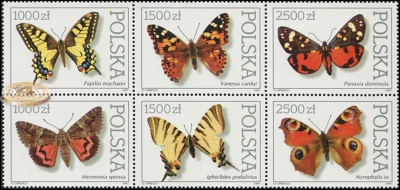 Польша. 1991. Коллекция бабочек биологического института ПАН (Сцепка. MNH OG)