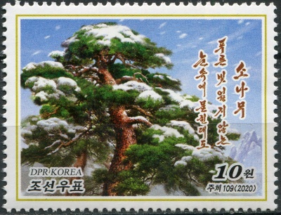 КНДР. 2020. Сосна (Почтовая марка. MNH OG)