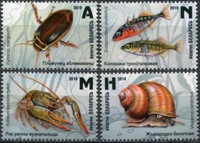 Беларусь. 2019. Дикая природа водно-болотных угодий (Серия. MNH OG)