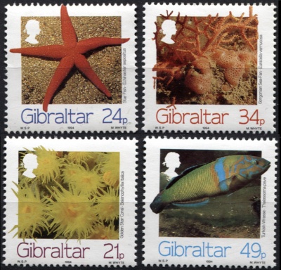Гибралтар. 1994. Морская жизнь (Серия. MNH OG)