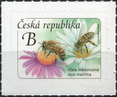 Чехия. 2020. Медоносная пчела (Apis mellifica) (Почтовая марка. MNH OG)
