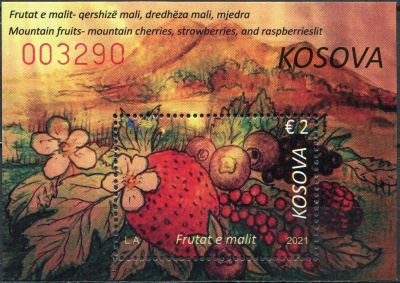 Косово. 2021. Лесные плоды (Почтовый блок. MNH OG)
