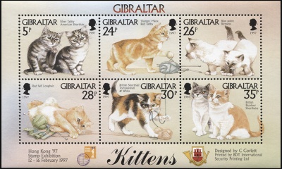 Гибралтар. 1997. Котята (М.Лист. MNH OG)