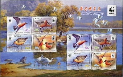 КНДР. 2015. Исландский песочник (Calidris canutus) (Малый лист. MNH OG)