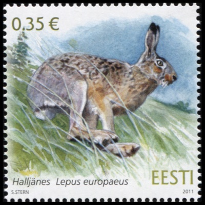 Эстония. 2011. Заяц-русак (Почтовая марка. MNH OG)