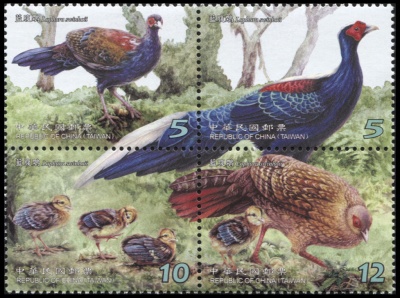 Тайвань. 2014. Фазан Свайно (Сцепка. MNH OG)
