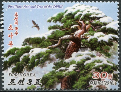 КНДР. 2016. Корейская сосна - национальное дерево КНДР (Почтовая марка. MNH OG)