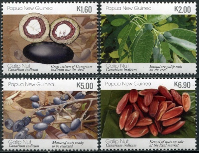 Папуа Новая Гвинея. 2019. Канариум индийский (Серия. MNH OG)
